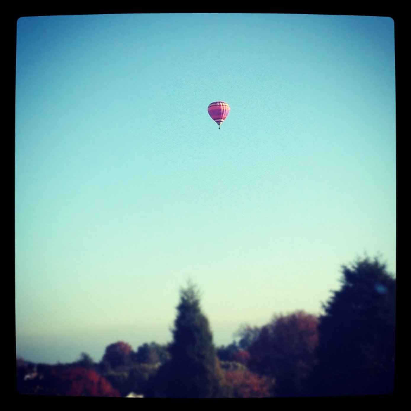 hot air balloon