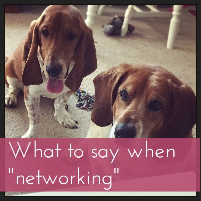 What to say when networking