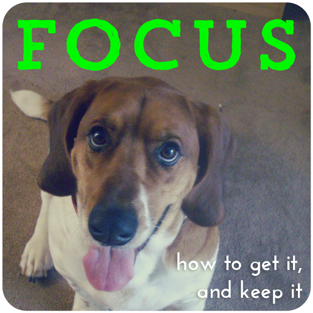 Focus