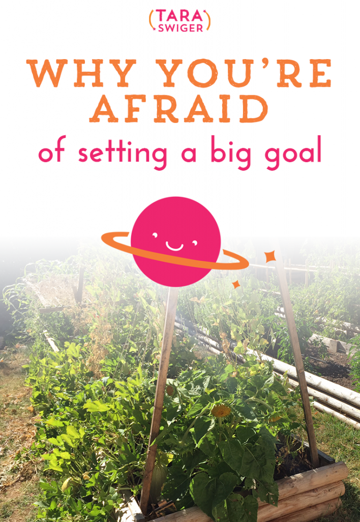 Choosing is hard. But to move your business foward, you need to set goals and work towards them. But what if you don't have a goal? What if you can't seem to narrow it down and pick one? Last week Lynn asked me, on Periscope, "What if you're afraid of setting a goal?" I know Lynn's not alone, because last week I worked through the Map-Making Guide with The Starship. The first step (spoiler alert!) is setting an endpoint for the map – the specific, measurable goal you want to reach in the next 3-6 months. It was this step, the most obvious starting place, that caused the most distress. In this episode, we'll discuss why it's hard to choose a goal, and how to do it anyhow. More at TaraSwiger.com